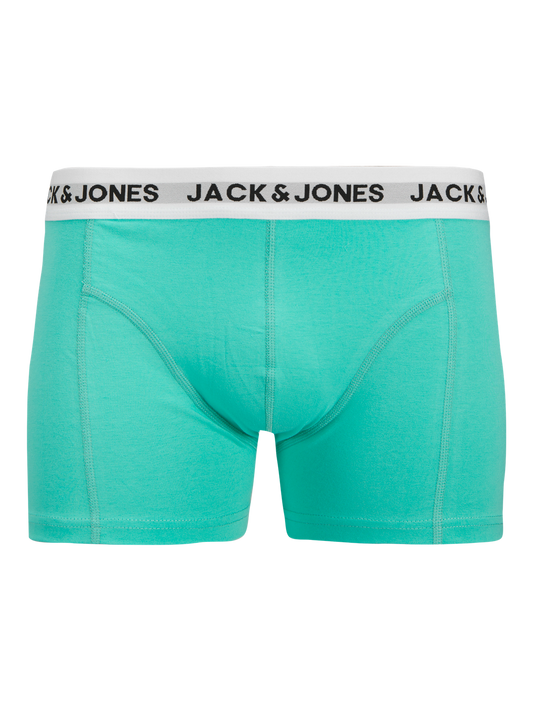 model_shot-front_full