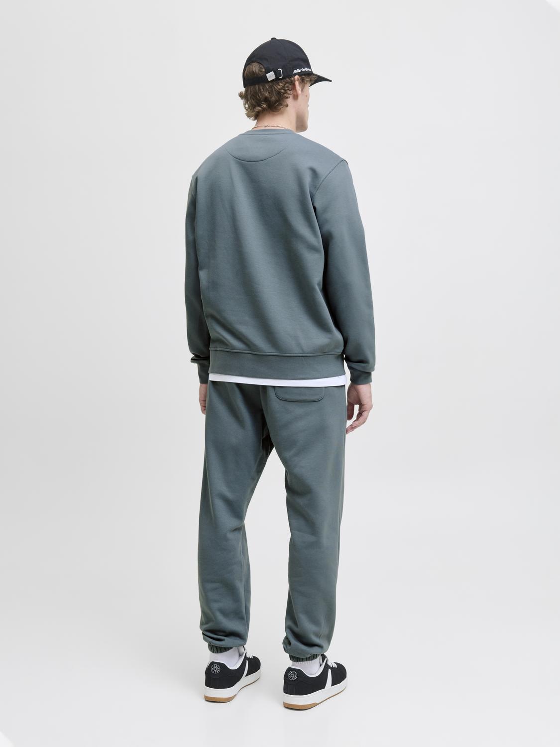 model_shot-back