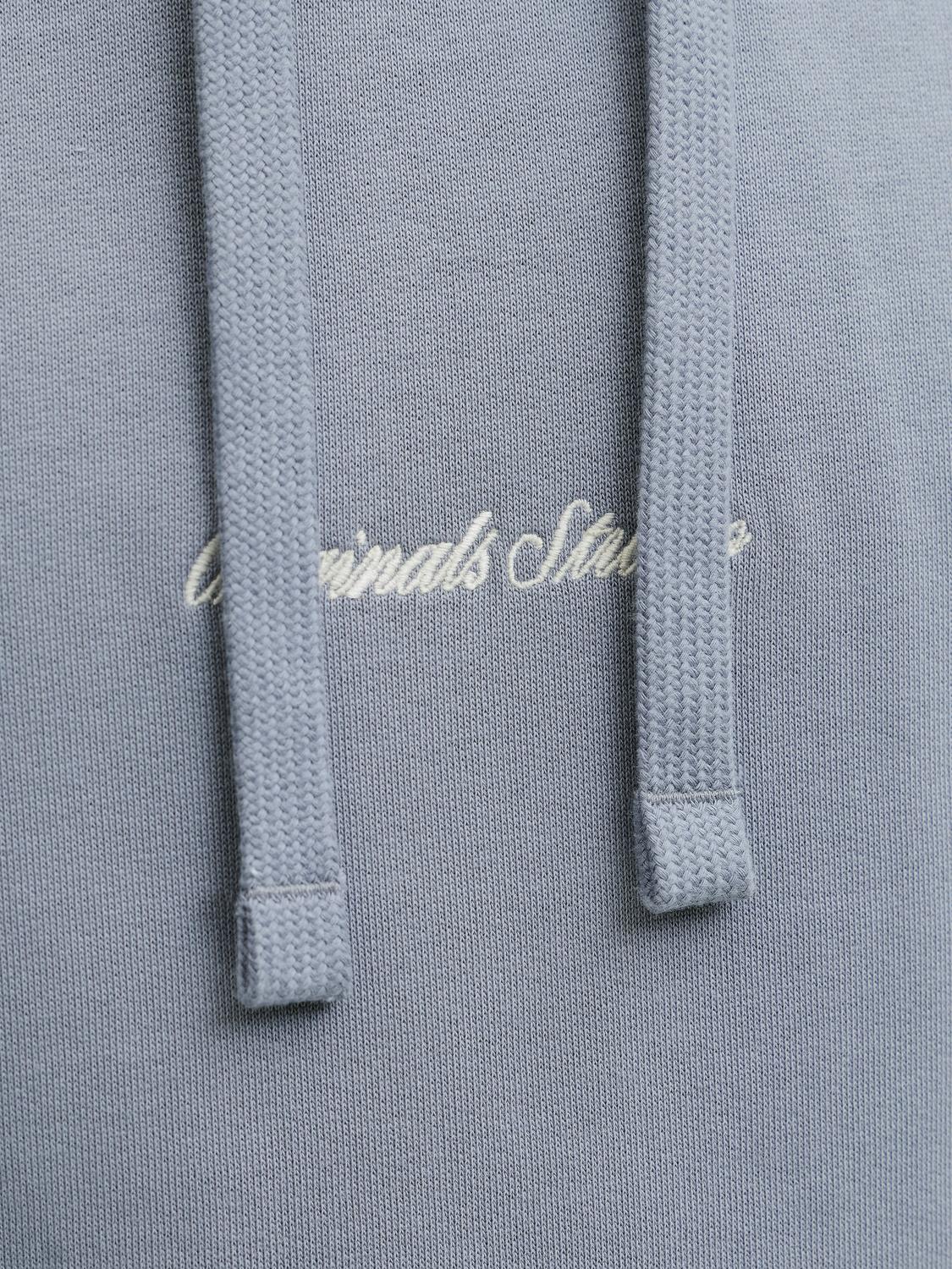 model_shot-detail
