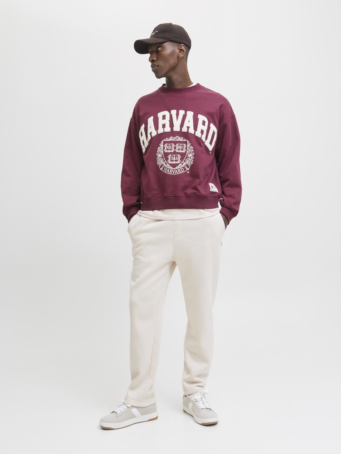 model_shot-front_full