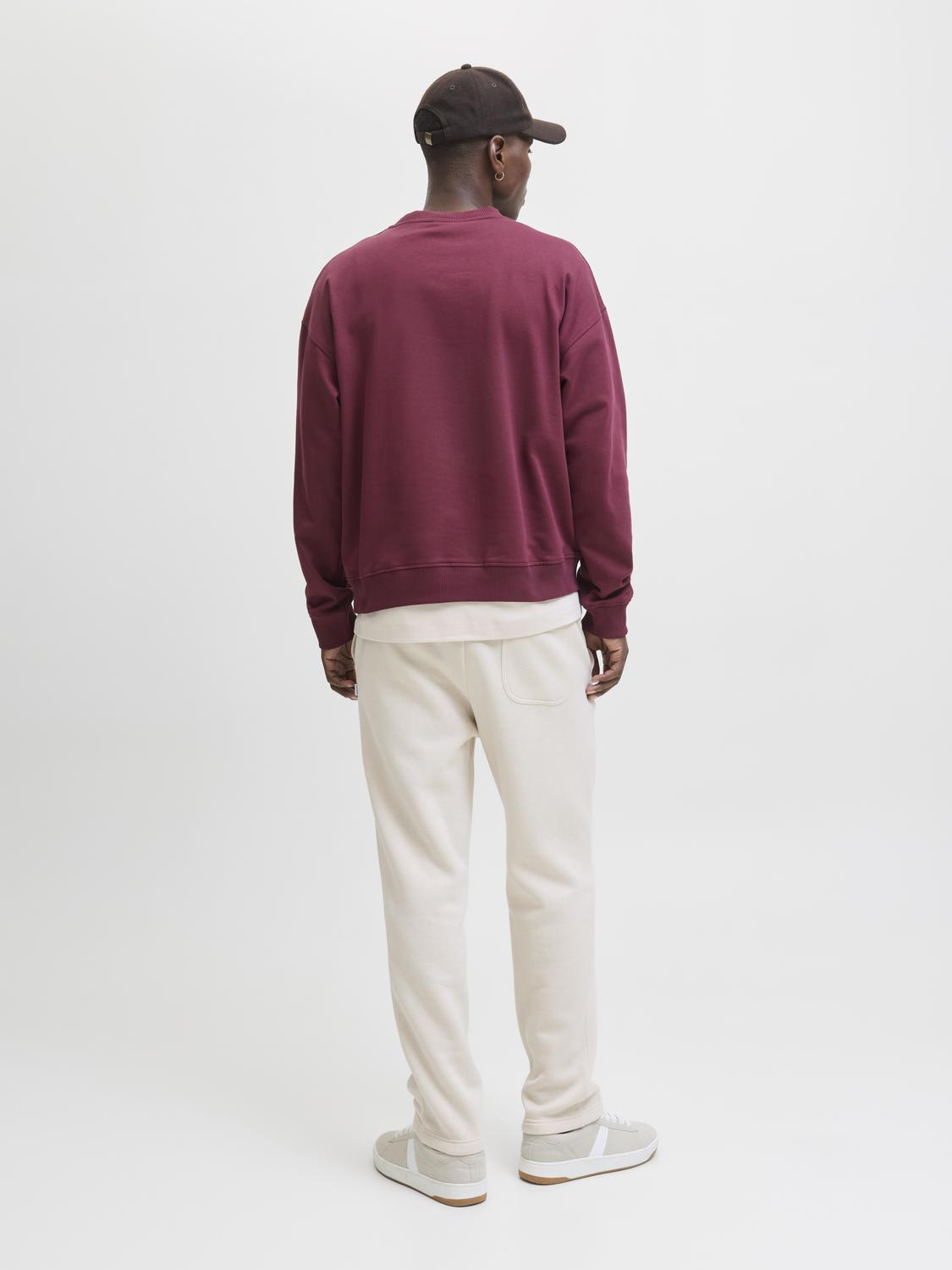 model_shot-back