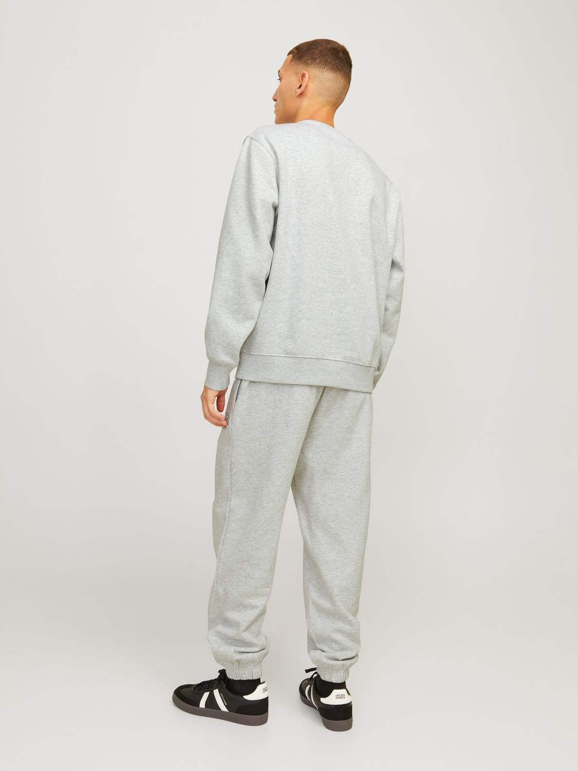 model_shot-back