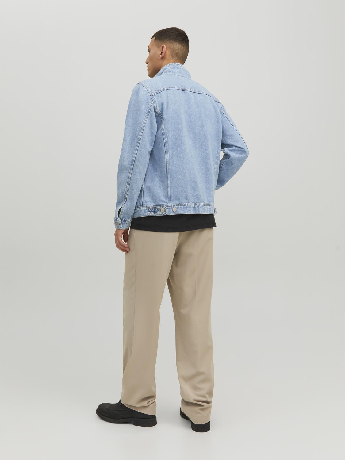 model_shot-back