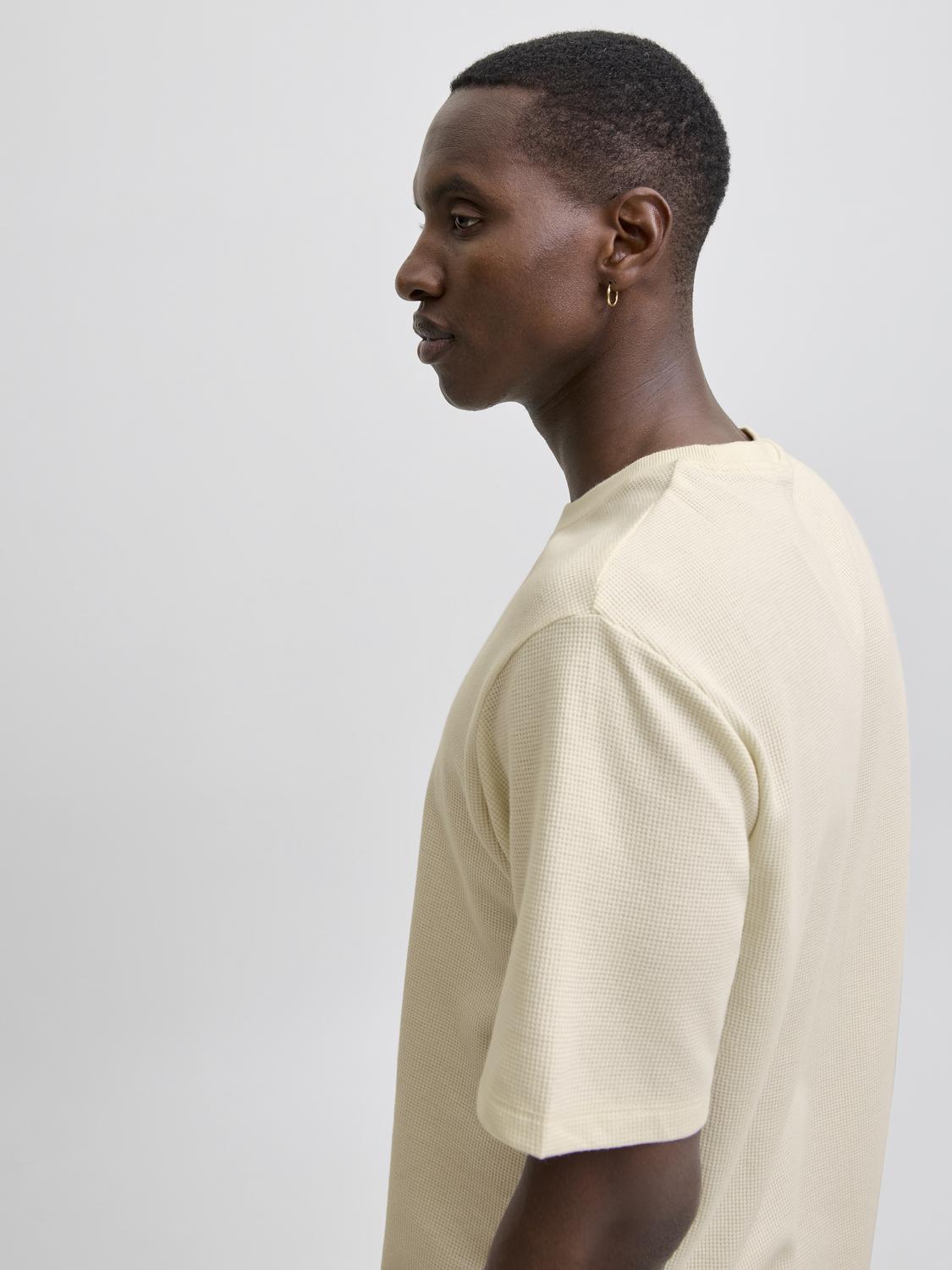 model_shot-creative