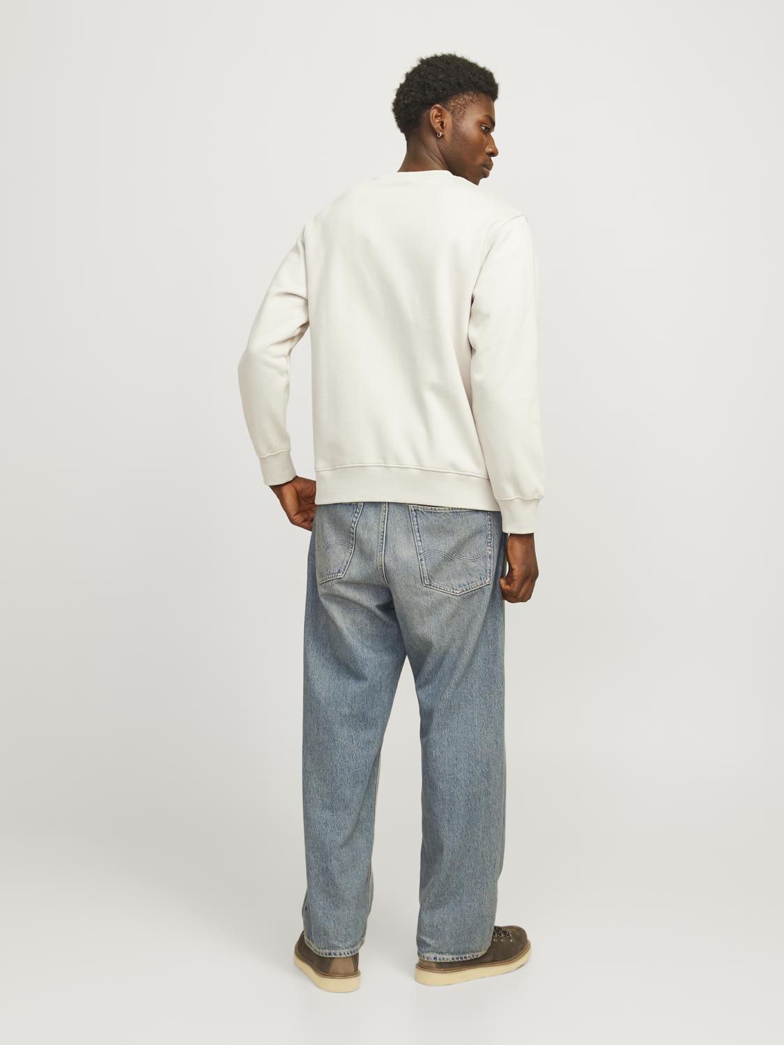 model_shot-back