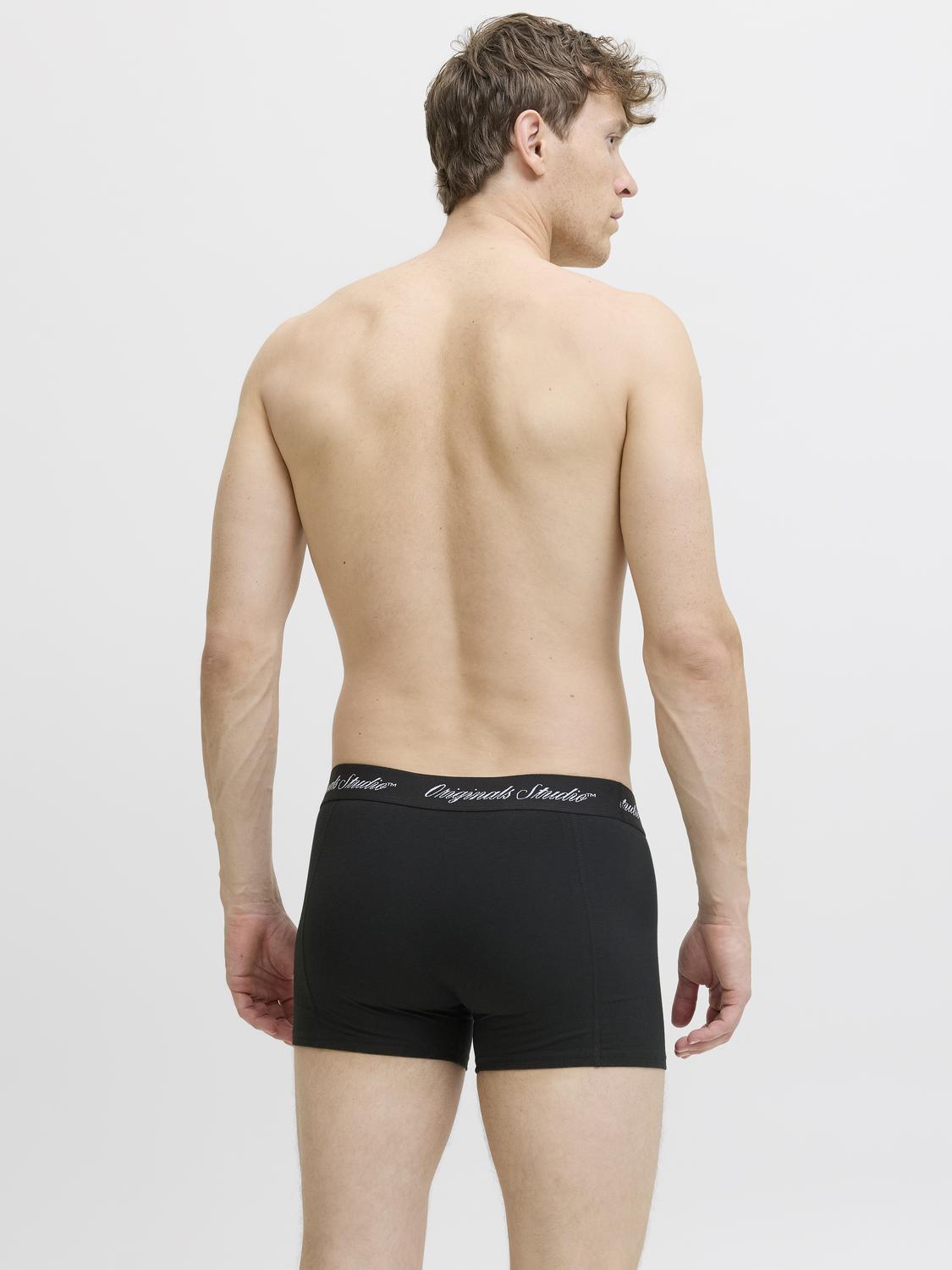 model_shot-back