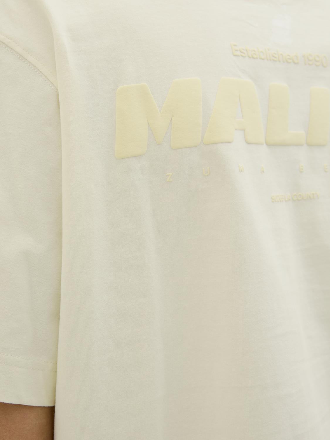 model_shot-detail