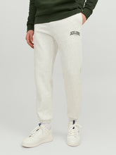 Load image into Gallery viewer, JPSTKANE Pants - White Melange
