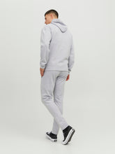 Load image into Gallery viewer, JPSTWILL Pants - Light Grey Melange
